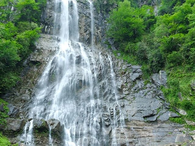 Yeşil Karadeniz Yaylalar ve Batum Turu ( Batum Turu Dahil ) 5 Gece Otel Konaklaması